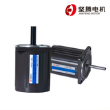 60电机无减速 YN60-10G